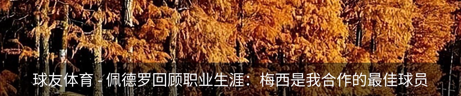 新闻动态