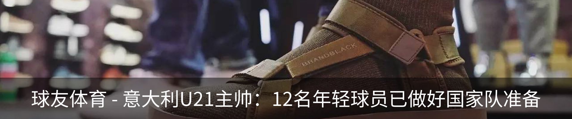 新闻动态